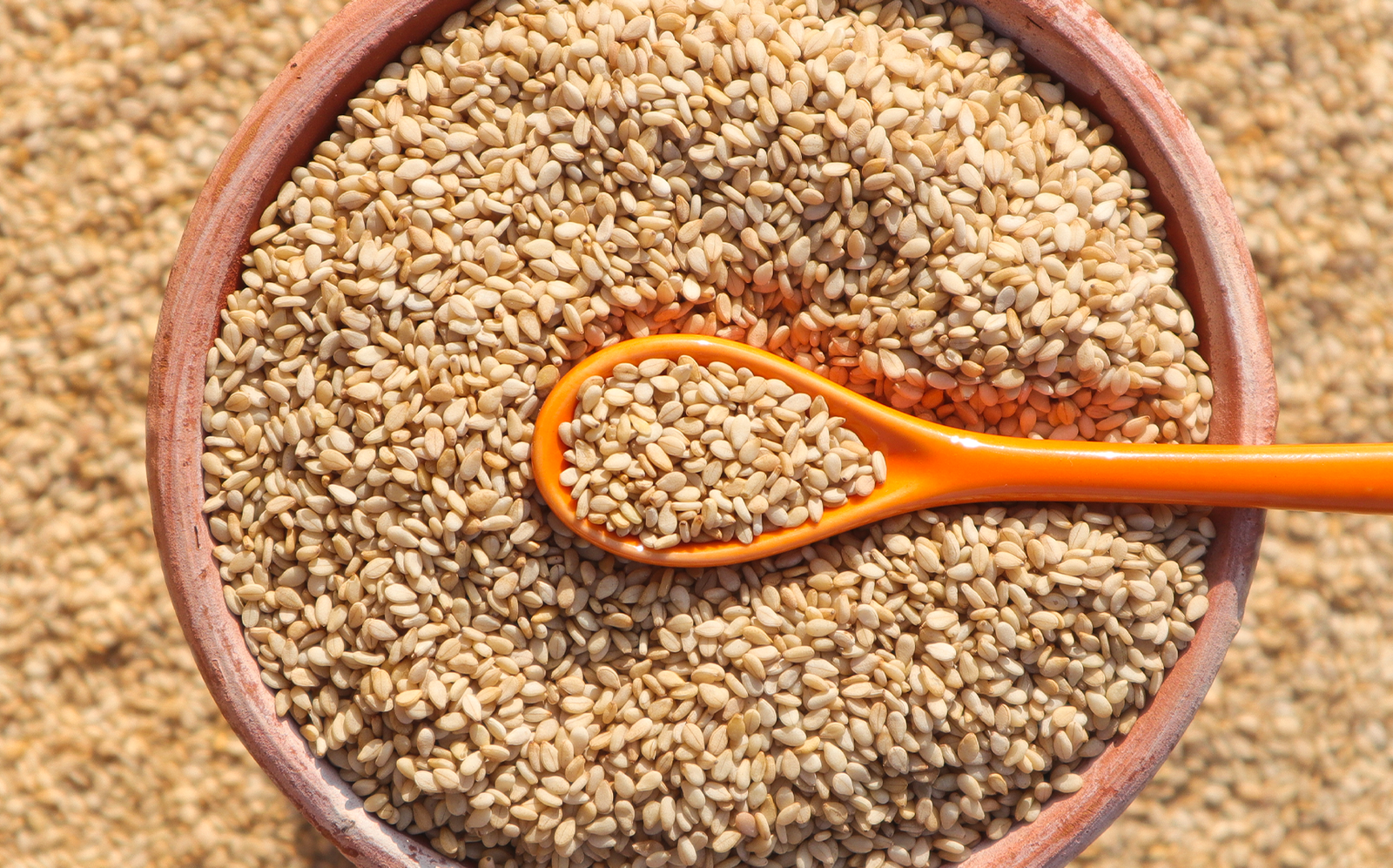 Sesame Seeds Natural
